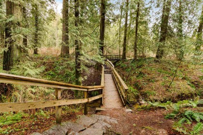 Photo 38 at 10131 241a Street, Albion, Maple Ridge