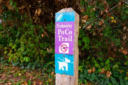 Photo 31 at 412 - 2627 Shaughnessy Street, Central Pt Coquitlam, Port Coquitlam