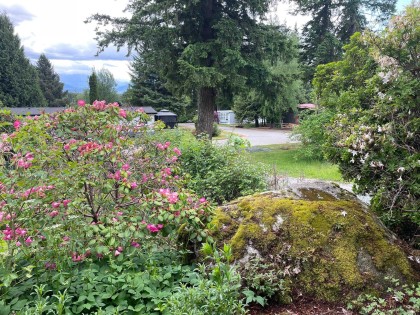 Photo 3 at 89 - 43201 Lougheed Highway, Dewdney Deroche, Mission