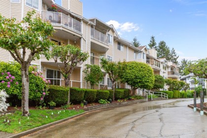 Photo 1 at 325 - 22611 116 Avenue, East Central, Maple Ridge