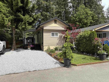 Photo 1 at 33 - 23325 Calvin Crescent, East Central, Maple Ridge