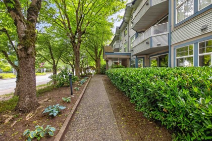 Photo 2 at 103 - 11960 Harris Road, Central Meadows, Pitt Meadows