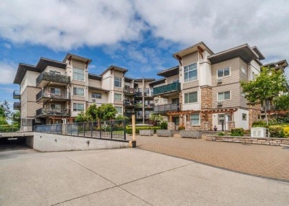 Photo 1 at 317 - 11935 Burnett Street, East Central, Maple Ridge