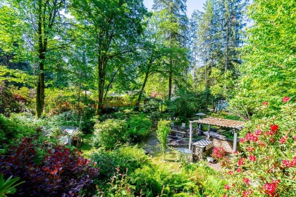 Photo 12 at 23942 Fern Crescent, Silver Valley, Maple Ridge