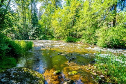 Photo 1 at 23942 Fern Crescent, Silver Valley, Maple Ridge