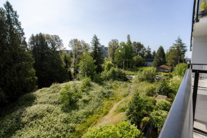 Photo 38 at 409 - 22315 122 Avenue, West Central, Maple Ridge