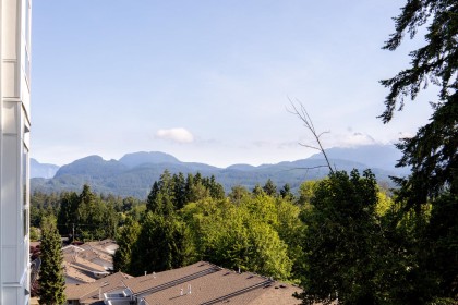 Photo 35 at 409 - 22315 122 Avenue, West Central, Maple Ridge