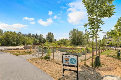 Photo 37 at 70 - 13819 232 Street, Silver Valley, Maple Ridge