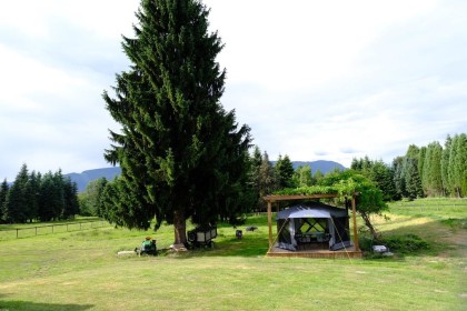 Photo 4 at 19465 Mcneil Road, North Meadows PI, Pitt Meadows