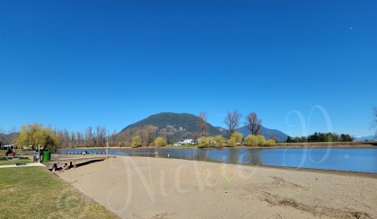 Photo 12 at 297 - 8400 Shook Road, Hatzic, Mission