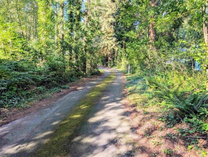 Photo 3 at 23463 Dogwood Avenue, East Central, Maple Ridge