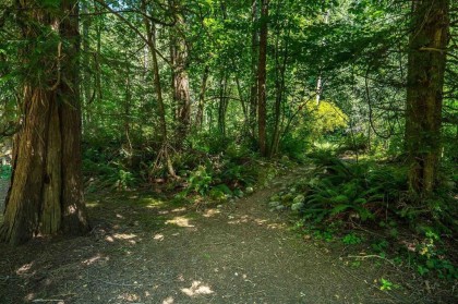 Photo 21 at 23463 Dogwood Avenue, East Central, Maple Ridge