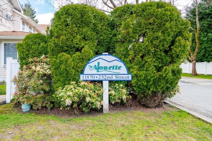 Photo 23 at 24 - 11870 232 Street, Cottonwood MR, Maple Ridge