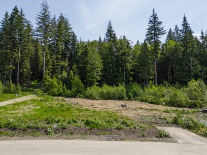Photo 3 at 12582 271 Street, Northeast, Maple Ridge