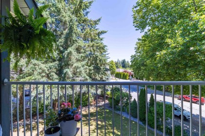 Photo 25 at 314 - 11601 227 Street, East Central, Maple Ridge