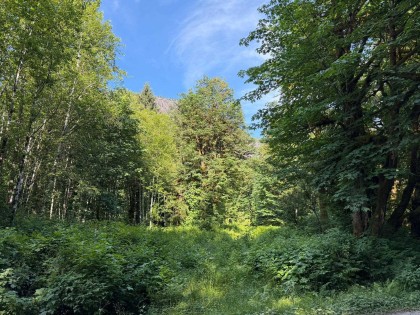 Photo 2 at 5 Upper Pitt River Road, North Meadows PI, Pitt Meadows