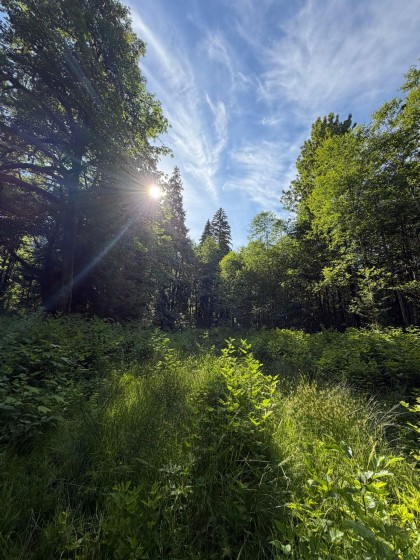 Photo 3 at 5 Upper Pitt River Road, North Meadows PI, Pitt Meadows