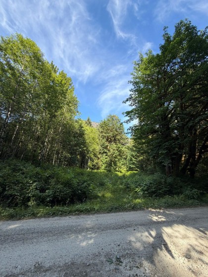 Photo 5 at 5 Upper Pitt River Road, North Meadows PI, Pitt Meadows