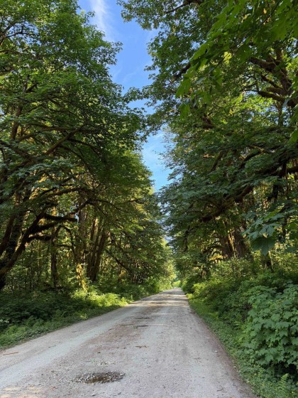 Photo 4 at 5 Upper Pitt River Road, North Meadows PI, Pitt Meadows