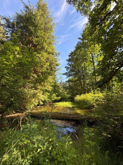 Photo 8 at 5 Upper Pitt River Road, North Meadows PI, Pitt Meadows