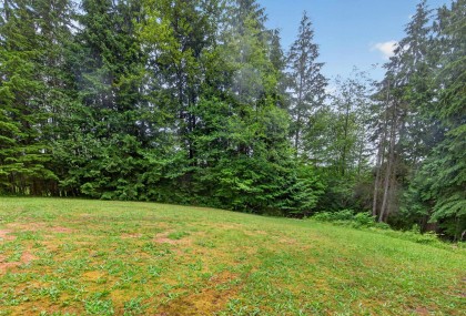 Photo 33 at 12271 Powell Street, Stave Falls, Mission