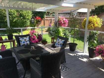 Photo 36 at 22700 Balabanian Circle, East Central, Maple Ridge