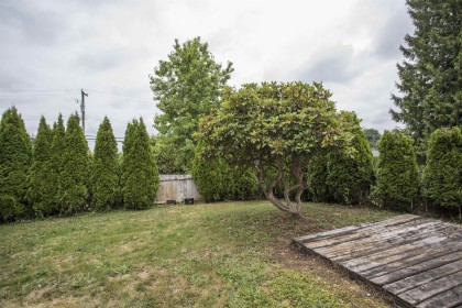 Photo 8 at 12393 Gray Street, West Central, Maple Ridge