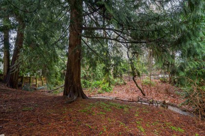 Photo 38 at 32472 Grebe Crescent, Mission BC, Mission