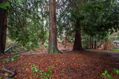 Photo 37 at 32472 Grebe Crescent, Mission BC, Mission