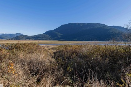 Photo 31 at 2 - 14550 Morris Valley Road, Lake Errock, Mission
