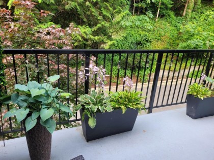 Photo 15 at 17 - 19696 Hammond Road, South Meadows, Pitt Meadows