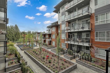 Photo 20 at 229 - 11655 Fraser Street, East Central, Maple Ridge