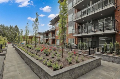 Photo 25 at 229 - 11655 Fraser Street, East Central, Maple Ridge
