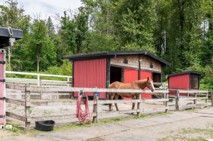Photo 3 at 24991 100 Avenue, Thornhill MR, Maple Ridge