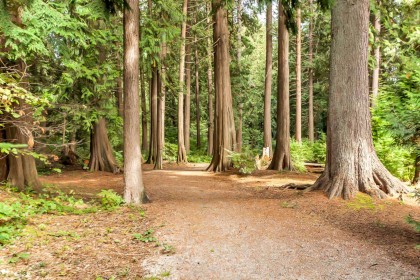 Photo 19 at 103 - 11960 Harris Road, Central Meadows, Pitt Meadows