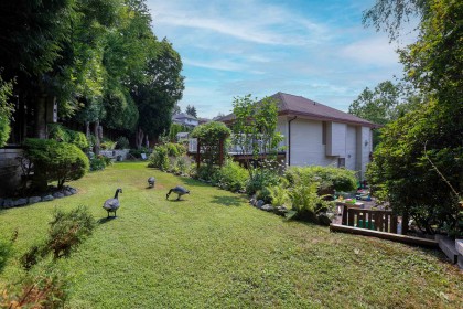 Photo 6 at 23711 106 Avenue, Albion, Maple Ridge