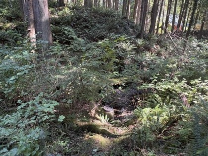 Photo 13 at 14202 Marc Road, Silver Valley, Maple Ridge