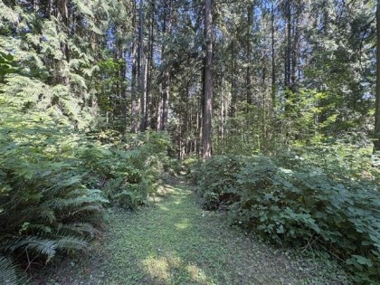Photo 16 at 14202 Marc Road, Silver Valley, Maple Ridge
