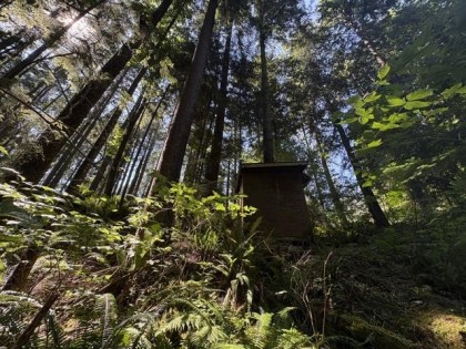 Photo 10 at 14202 Marc Road, Silver Valley, Maple Ridge
