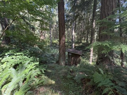 Photo 15 at 14202 Marc Road, Silver Valley, Maple Ridge