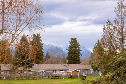 Photo 6 at 11809 230 Street, East Central, Maple Ridge