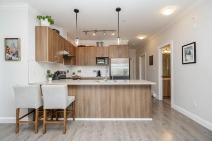 Photo 2 at 309 - 11566 224 Street, West Central, Maple Ridge