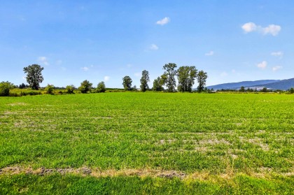Photo 36 at 14221 Mckechnie Road, Pitt Meadows