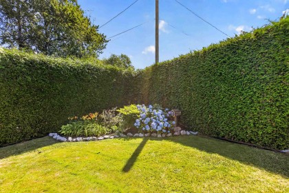 Photo 39 at 12515 227 Street, East Central, Maple Ridge