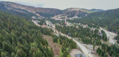 Photo 6 at 20488 Edelweiss Drive, Hemlock, Mission