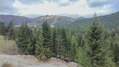 Photo 8 at 20488 Edelweiss Drive, Hemlock, Mission