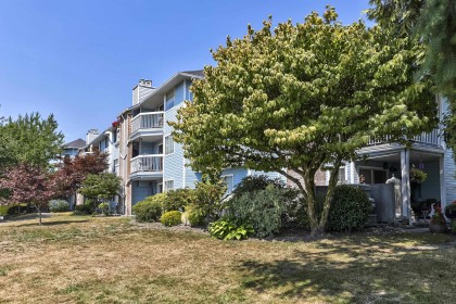Photo 22 at 117 - 11510 225 Street, East Central, Maple Ridge