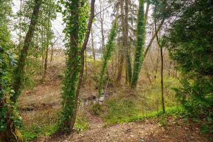 Photo 34 at 12486 256 Street, Websters Corners, Maple Ridge