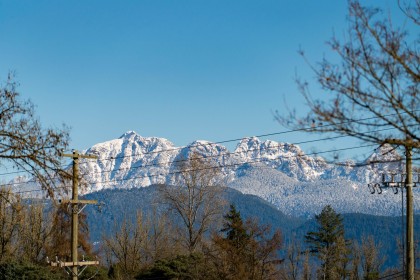 Photo 28 at 136 - 2418 Avon Place, Riverwood, Port Coquitlam