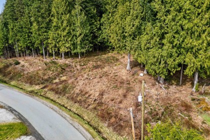 Photo 9 at 27641 128 Avenue, Northeast, Maple Ridge